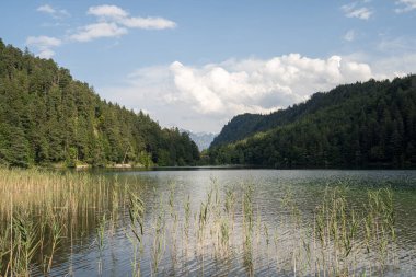 A serene lake reflects blue skies, flanked by tall trees and majestic mountains. Gentle ripples ripple on the water's surface, enhancing the peaceful atmosphere of the scene.