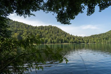 Calm waters reflect the clear blue sky, framed by trees and hills. This peaceful scene invites relaxation and exploration in a beautiful outdoor setting.