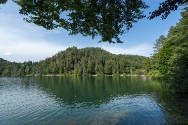 A peaceful lake is bordered by lush green forests, showcasing a blend of trees on the hills. The water reflects the blue sky, highlighting a tranquil afternoon scene in nature.