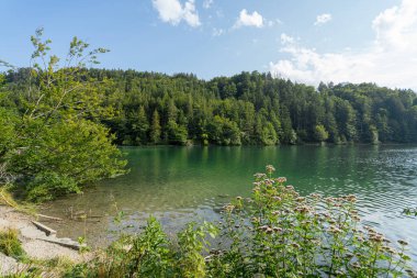 Clear water reflects the bright sky and verdant hills, creating a peaceful scene. Trees line the shore, while wildflowers bloom near the water's edge, enhancing the serene atmosphere.