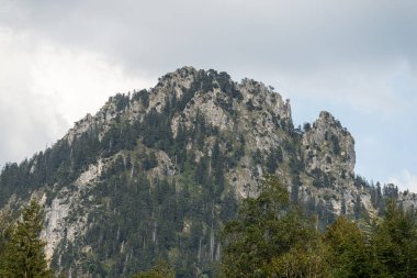 A stunning mountain peak towers over a lush forest, showcasing rocky cliffs and greenery. The scene is set against a backdrop of an overcast sky, creating a dramatic atmosphere.