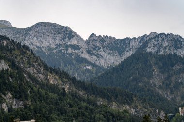 Towering mountain peaks surrounded by dense forests create a stunning view under a cloudy sky. The vibrant greens contrast with rocky formations, showcasing nature's beauty.