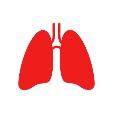 İnsan ciğerleri iç organlar vektörü beyaz arkaplanda izole edildi
