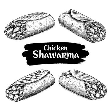 Tavuk Shawarma El Çizimi Çizimi Çizim Seti