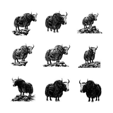 Himalaya Dağ Yağı - Eski Vahşi Yaşam İşleme Seti