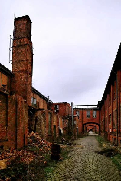 Derelict street on an abandoned industrial site in Magdeburg, Germany.