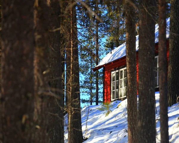冬のスウェーデン北部の森の中の赤いキャビン — ストック写真