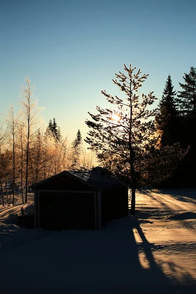 Barracão Simples Retroiluminado Manhã Inverno Sueco — Fotografia de Stock