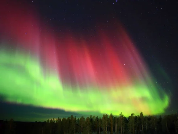 Κόκκινο Και Πράσινο Σέλας Πάνω Από Δάσος Στη Βόρεια Σουηδία — Φωτογραφία Αρχείου