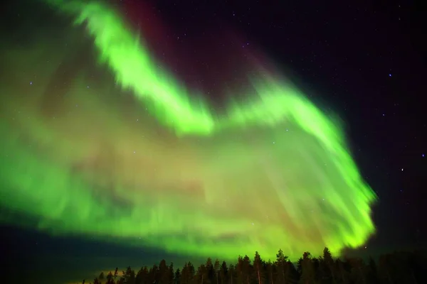 Зеленое Фиолетовое Сияние Над Лесом Северной Швеции — стоковое фото
