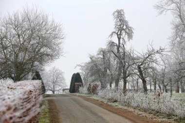 Kış parkında buzla kaplı küçük bir yol..