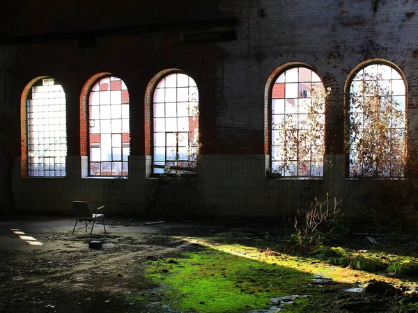 Spooky Shot Chair Overgrown Abandoned Factory Interior — Stock Photo, Image