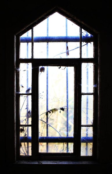 A window with bars and vines in an abandoned building.