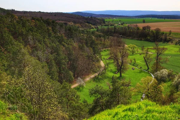 Malerische Frühlingslandschaft Mit Wald Und Feldern Bei Langenstein Harz Deutschland — Stockfoto