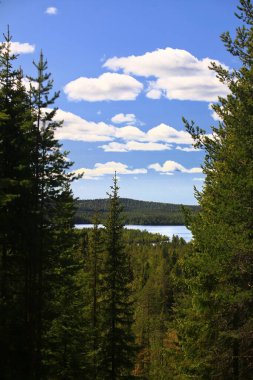 Kuzey İsveç Gölü Kvammarn 'ın Idyllic manzarası.