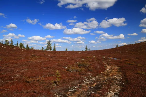 スウェーデン北部のArvidsjuar近くの自然保護区の高地を通るロッキーパス — ストック写真