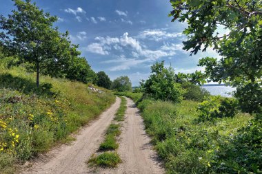 Kuzey Almanya 'daki Ruegen adasındaki deniz kıyısındaki Idyllic yolu..