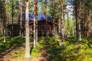 İsveç ormanlarında gizlenmiş güzel ahşap kulübe..