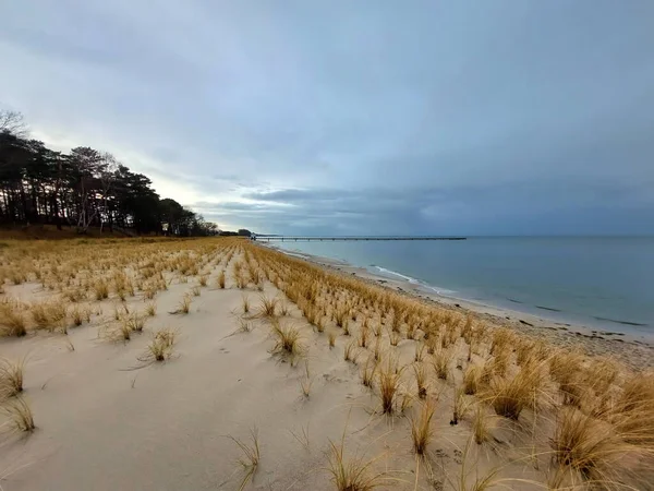 Sanddyner Vid Havet Lubmin Tyskland Stockfoto
