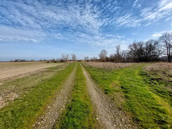 Gravel road, grass and fields in rural area in Germany.