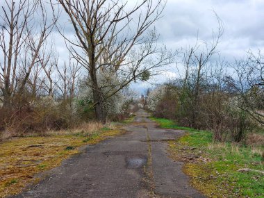 Bulutlu bahar gününde terk edilmiş kırsal yol.