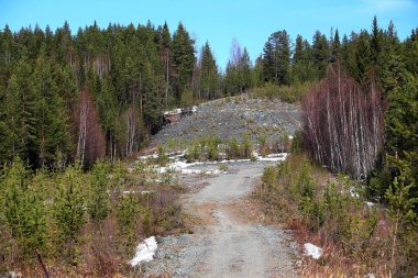 Ormanda küçük yolu olan büyük bir çakıl yığını..