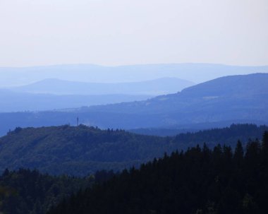 Thüringen ormanlarına bakan yoğun orman manzarası. Ağaçların katmanları ve uzak ufuk çizgileri..