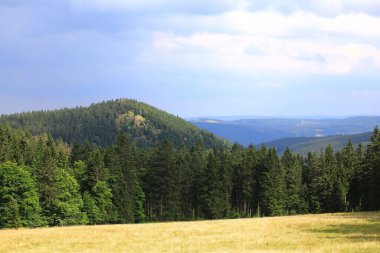 Thüringen 'de bulutlu bir gökyüzünün altında çayır ve orman tepeleri.
