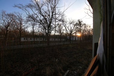 Çıplak dalları ve uzak boş binaları olan terk edilmiş bir alanın dışındaki ağaçların arasından gün batımı..