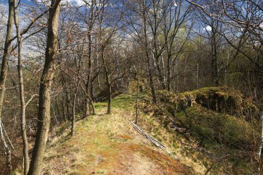 Harz dağlarındaki seyrek ağaçların arasından sarkan orman sırtı patikası ilkbahar semaları altında..