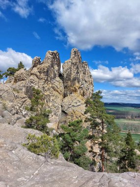 Almanya 'da Hamburger Wappen adı verilen kum taşı kayalıkları dağınık çam ağaçları ve dramatik bulut örtüsü olan geniş bir vadiye bakıyor..