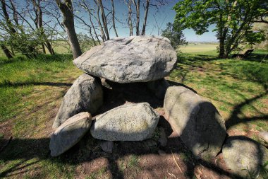 Almanya 'daki antik taş odası Hoher Stein, tarım arazisi yakınlarındaki ormanlık alandaki dengeli kayalardan yapılmıştır..