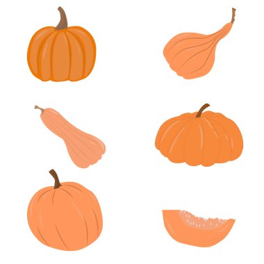 Çizgi film Cadılar Bayramı Balkabağı Seti. Şenlik lambaları, çıkartmalar, dekorasyon, sayfa, web için turuncu sonbahar balkabakları. Turuncu balkabağının farklı şekil ve boyutları beyaz arka planda izole edilmiştir. Vektör illüstrasyonu.