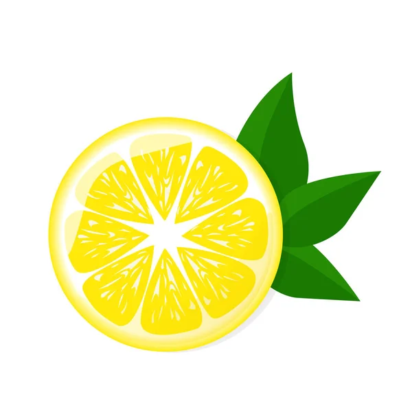 Lemon Sliced Green Leaf Posters Logos Labels Banners Stickers Product — Stock Vector