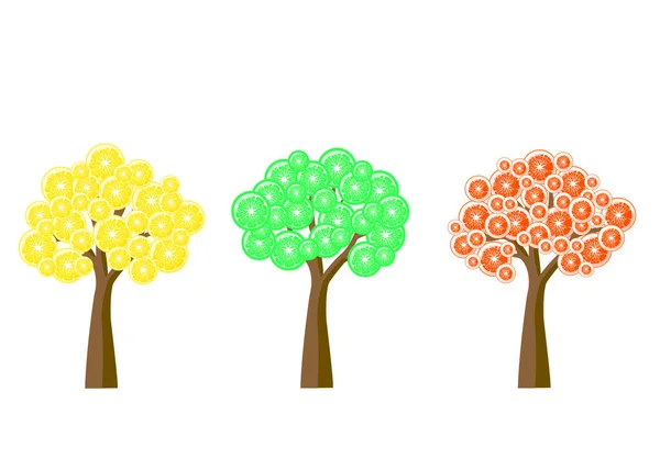 Establecer Árboles Abstractos Con Naranja Lima Rodajas Limón Para Carteles — Vector de stock