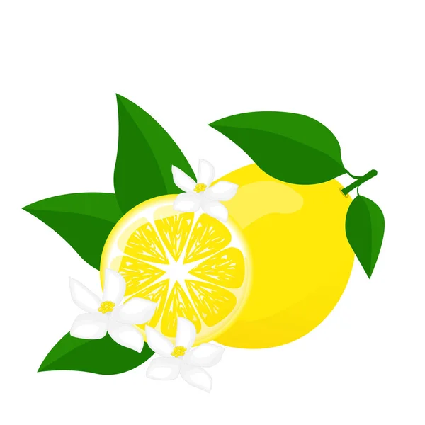 Lemon Dengan Daun Hijau Lemon Diiris Dan Flowers Poster Logo - Stok Vektor