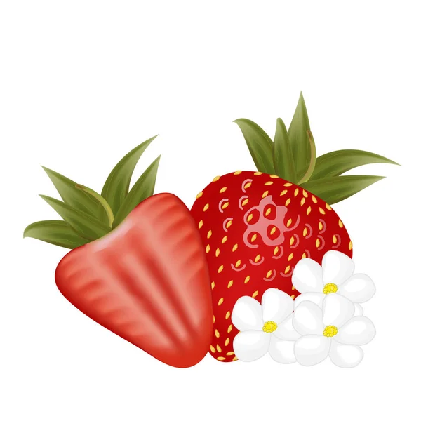 整片草莓和有花的半草莓片 用于贴纸和T恤衫设计 产品包装设计等 矢量说明 — 图库矢量图片