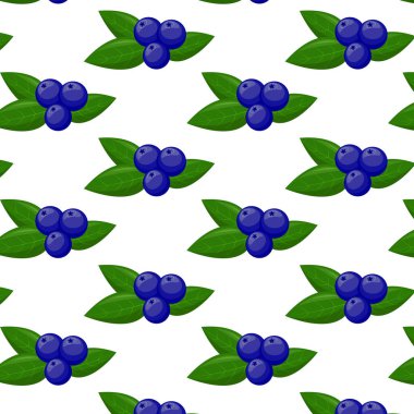 Yapraksız yaban mersini deseni. Tasarımın için, desen, rozet, etiket, tekstil vesaire. Sağlıklı yaşam için yaz meyveleri. Organik meyve. Çizgi film tarzı. Vektör illüstrasyonu.