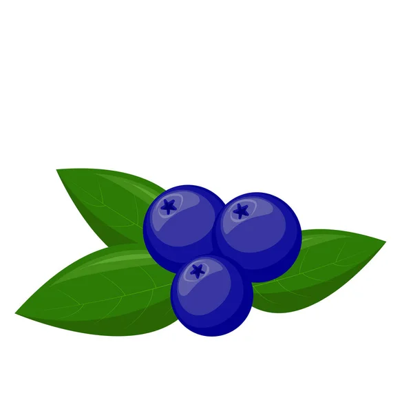 有叶子的蓝莓为您的设计 纺织品等 夏天水果促进健康的生活方式 有机水果 卡通风格 矢量说明 — 图库矢量图片