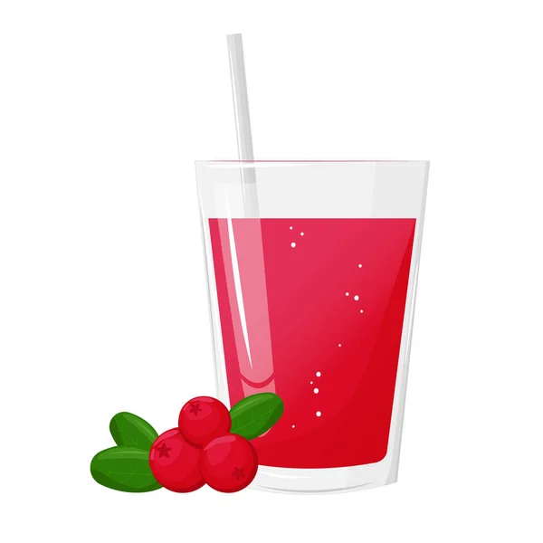 Glass Cranberries Juice Natural Fresh Squeezed Juice Healthy Diet Design — Stock Vector