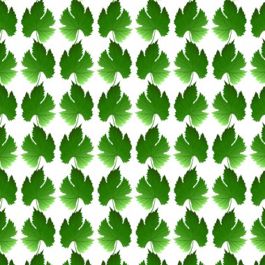 Kusursuz desenli üzüm yaprakları. Yeşil yaprak. Vektör illüstrasyonu.
