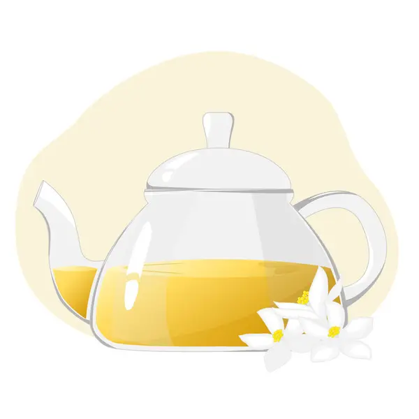 Glass Teapot Herbal Tea Glass Teapot Jasmine Tea Healthy Drinks — Stock Vector