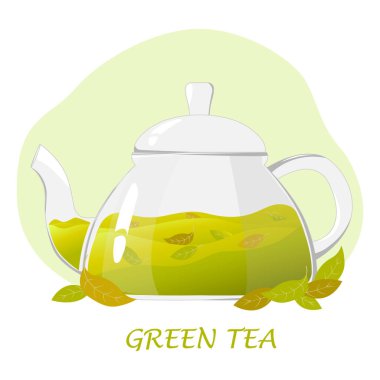 Yeşil çaydanlıklı cam çaydanlık. Yeşil çay yapraklı şeffaf cam çaydanlık. Sağlıklı içki kavramı. Kafeler, reklamlar, afişler için vektör illüstrasyonu.
