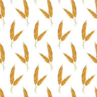 Kusursuz desenli mısır gevreği, yulaf ve arpa kulaklı dikenler. Bira, ekmek ve un paketleme için. Sağlıklı doğal tarım besinleri için semboller, tüm organik dikenler beyaz üzerinde elementler.