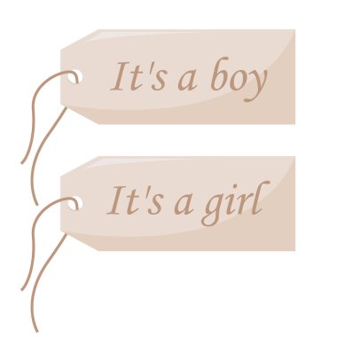 Gender party bags with text It is a boy and It is a girl. Flat design.Vector illustration. clipart