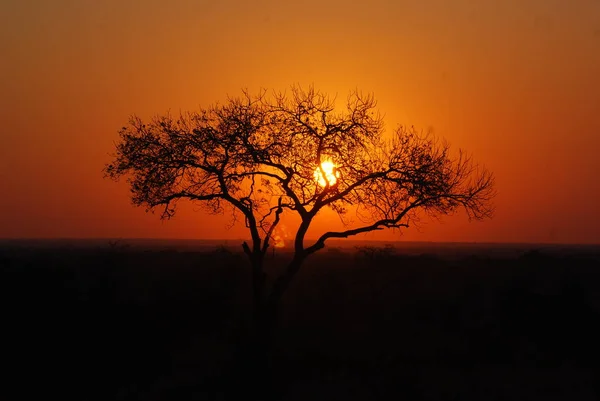 Mooie Zonsondergang Afrikaans — Stockfoto