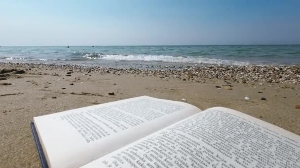 Beachside Relaxation Open Book Sea Waves Dalam Bahasa Inggris — Stok Video