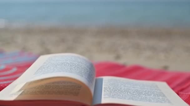 Open Book Beach Mat Con Onde Vento Soffia Pagine — Video Stock