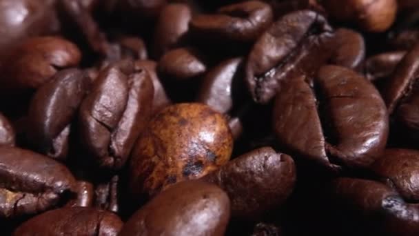 新烘焙咖啡豆的细部宏观特写 — 图库视频影像