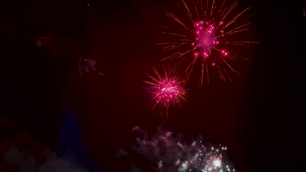 Celestial Symphony Fireworks Painting Night Sky Dazzling Display — Stock Video